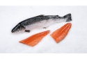 fish  salmon - product's photo