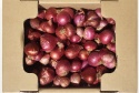 wholesale fresh red onion - product's photo