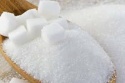 white brazilian icumsa 45 sugar - product's photo