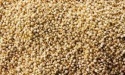 fonio grains - product's photo