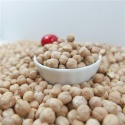 chickpea - product's photo