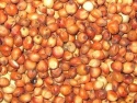 sorghum for sale - product's photo