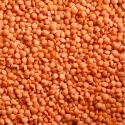 dry green and red  lentils - product's photo