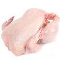 frozen chicken fresh whole/ feet/ drumstick/ head/ wings/ neck chicken - product's photo