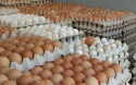best quality fresh brown table chicken eggs - product's photo