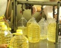 crude rapeseed oil - product's photo