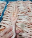 brazilian frozen chicken feet & paws halal certified - product's photo