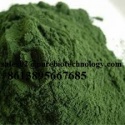 organic spirulina powder - product's photo