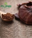 organic reishi powder-mushroom powder - product's photo
