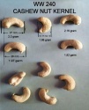 raw cashew nuts w240 w320 w450 - product's photo