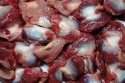 grade a frozen chicken gizzards - product's photo