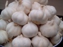 fresh garlic,fresh ginger,fresh onion.green cardamom - product's photo