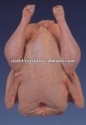 frozen whole halal chicken - product's photo