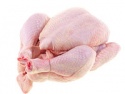 whole halal chickens - product's photo