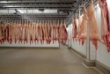 pig half carcasses - product's photo