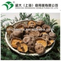 shiitake mushroom, - product's photo
