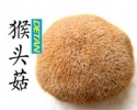 pom pom mushroom - product's photo