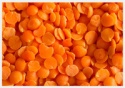 green lentils - product's photo