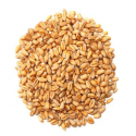 wholesale good barley grains premium barley seeds/animal feed barley - product's photo