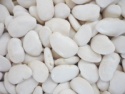 baby lima beans - product's photo