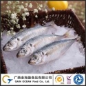 blue horse mackerel - product's photo