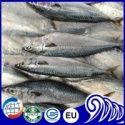 acific mackerel with bait plastic - product's photo
