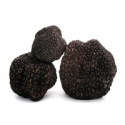 truffles mushroom - product's photo