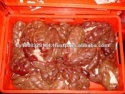 frozen beef kidney - product's photo