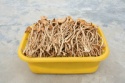 tea tree mushroom - product's photo