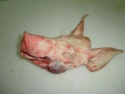frozen pork head - product's photo
