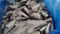 frozen sardines hgt - product's photo