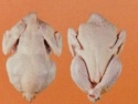 whole chicken - product's photo