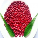 heilongjiang origin red bean - product's photo