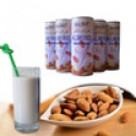 plant protein drink aprieot seed drink for supermarket - product's photo