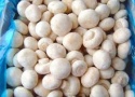mushrooms - product's photo