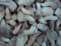 oyster mushrooms - product's photo