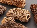 morchella esculenta mushroom - product's photo