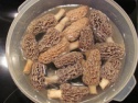 morel mushrooms - product's photo