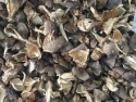 straw mushroom - product's photo