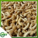 pholiota nameko mushroom - product's photo