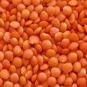crimson lentils - product's photo