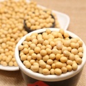 non gmo dried cheap soybeans - product's photo
