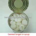 chinese canned longan in syrup - product's photo