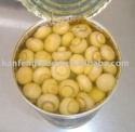 canned whole button mushroom - product's photo