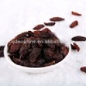 red raisin - product's photo