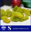 new raisin for importer and buyer - product's photo