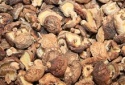 dried shiitake mushrooms - product's photo