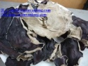 supply dried black fungus mushroom. - product's photo