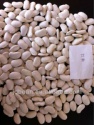 large white kidney bean (lwkb) - product's photo