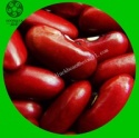 crop long dark red kidney bean - product's photo
